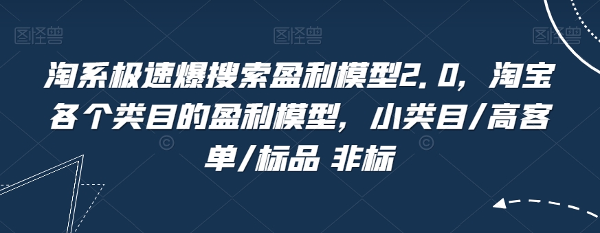淘系极速爆搜索盈利模型2.0,淘宝各个类目的盈利模型,小类目/高客单/标品 非标-第一资源库