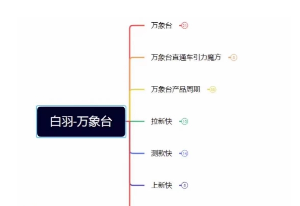 白羽·直引万搜索全篇，从0-1，多个类目实操经验总结付费-第一资源库