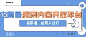 最新蓝海项目,企鹅号腾讯内容开放平台项目,靠搬运二创月入过万【揭秘】-第一资源库