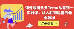 海外版拼多多Temu从零到一实践课,从入驻到运营的最全教程-第一资源库