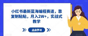 小红书最新蓝海编程赛道,靠复制粘贴,月入2W+,实战式教学【揭秘】-第一资源库