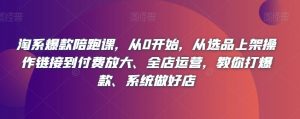 淘系爆款陪跑课,从0开始,从选品上架操作链接到付费放大、全店运营,教你打爆款、系统做好店-第一资源库