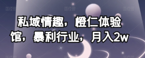 私域情趣，橙仁体验馆，暴利行业，月入2w【揭秘】-第一资源库