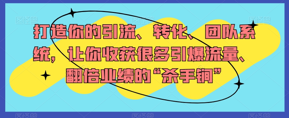 打造你的引流、转化、团队系统,让你收获很多引爆流量、翻倍业绩的“杀手锏”-第一资源库
