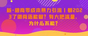 新·微商零成本暴力引流丨都2023了微商还能做?有大把流量,为什么不能?-第一资源库