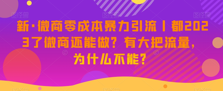 新·微商零成本暴力引流丨都2023了微商还能做?有大把流量,为什么不能?-第一资源库