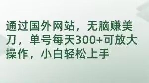 通过国外网站,无脑赚美刀,单号每天300+可放大操作,小白轻松上手【揭秘】-第一资源库