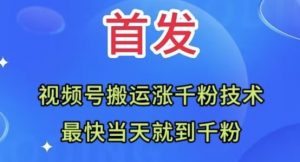 全网首发：视频号无脑搬运涨千粉技术，最快当天到千粉【揭秘】-第一资源库
