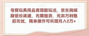 母婴玩具用品变现新玩法,京东商城超低价渠道,简单操作可实现月入2万+【揭秘】-第一资源库