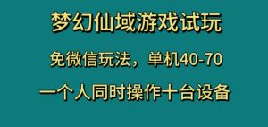 梦幻仙域游戏试玩,免微信玩法,单机40-70,一个人同时操作十台设备【揭秘】-第一资源库
