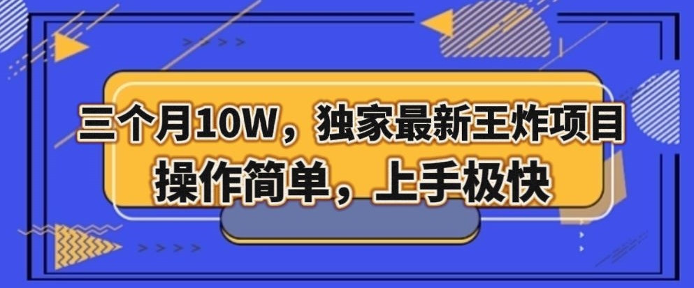 三个月10W,独家最新王炸项目!操作简单,上手极快【揭秘】-第一资源库