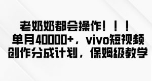 老奶奶都会操作,新平台无脑操作,单月40000+,vivo短视频创作分成计划【揭秘】-第一资源库