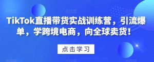 TikTok直播带货实战训练营，引流爆单，学跨境电商，向全球卖货！-第一资源库