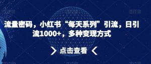 流量密码,小红书“每天系列”引流,日引流1000+,多种变现方式【揭秘】-第一资源库