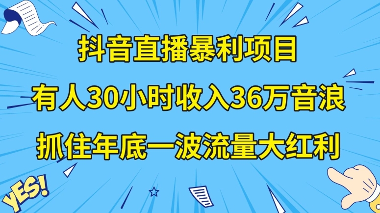 抖音直播暴利项目,有人30小时收入36万音浪,公司宣传片年会视频制作,抓住年底一波流量大红利【揭秘】-第一资源库