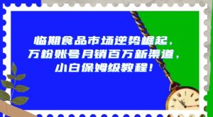 临期食品市场逆势崛起,万粉账号月销百万新渠道,小白保姆级教程【揭秘】-第一资源库