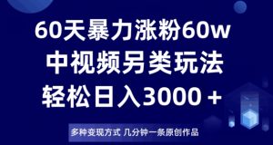 60天暴力涨粉60W，中视频另类玩法，日入3000＋，几分钟一条原创作品多种变现方式-第一资源库