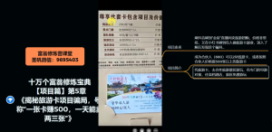 十万个富翁修炼宝典之5.揭秘旅游卡项目骗局,号称“一张卡赚500,一天能卖两三张”-第一资源库