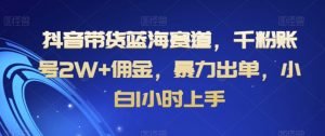 抖音带货蓝海赛道,千粉账号2W+佣金,暴力出单,小白1小时上手【揭秘】-第一资源库