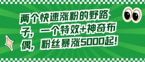 两个快速涨粉的野路子,一个特效+神奇布偶,粉丝暴涨5000起【揭秘】-第一资源库