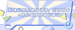 私域运营实操培训课，引流获客+转化变现双增长驱动-第一资源库