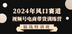2024年风口赛道视频号电商带货训练营搞钱特训班,带领大家快速入局自媒体电商带货-第一资源库