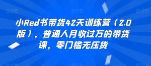 小Red书带货42天训练营(2.0版),普通人月收过万的带货课,零门槛无压货-第一资源库