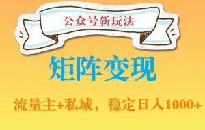 公众号软件玩法私域引流网盘拉新,多种变现,稳定日入1000【揭秘】-第一资源库