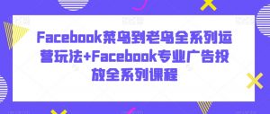 Facebook菜鸟到老鸟全系列运营玩法+Facebook专业广告投放全系列课程-第一资源库