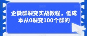 企微群裂变实战教程,低成本从0裂变100个群的-第一资源库