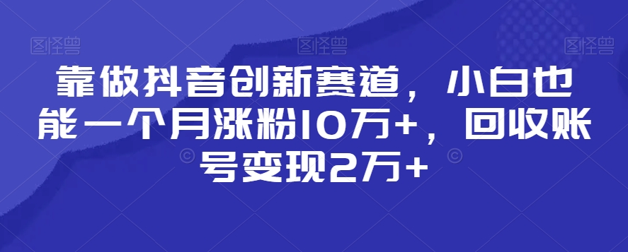 靠做抖音创新赛道,小白也能一个月涨粉10万+,回收账号变现2万+【揭秘】-第一资源库