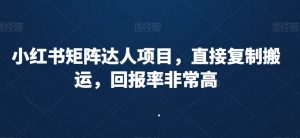小红书矩阵达人项目，直接复制搬运，回报率非常高-第一资源库