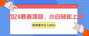 2024最新项目，红娘项目，简单操作轻松日入800+【揭秘】-第一资源库