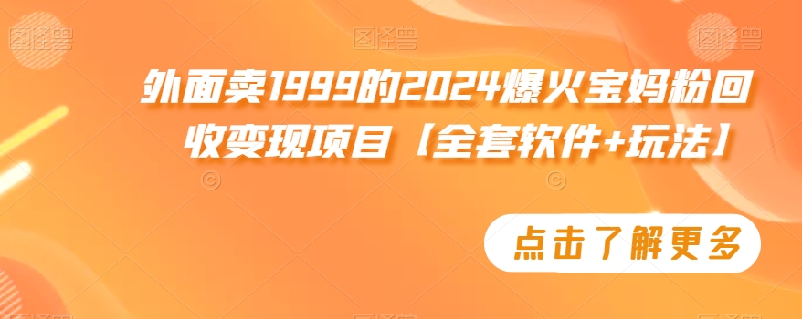 外面卖1999的2024爆火宝妈粉回收变现项目【全套软件+玩法】【揭秘】-第一资源库