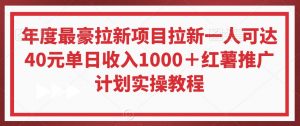 年度最豪拉新项目拉新一人可达40元单日收入1000＋红薯推广计划实操教程【揭秘】-第一资源库
