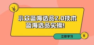 拼多多培训第33期：小众蓝海选品2.0技术-蓝海选品实操！-第一资源库