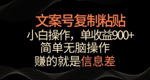 文案号掘金，简单复制粘贴，小白操作，单作品收益900+【揭秘】-第一资源库