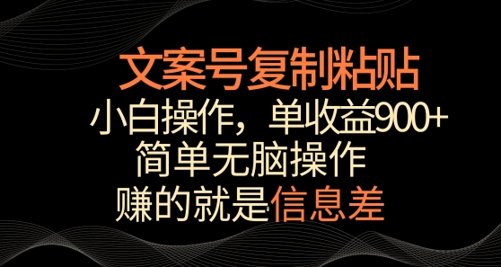 文案号掘金，简单复制粘贴，小白操作，单作品收益900+【揭秘】-第一资源库