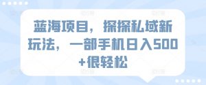 蓝海项目,探探私域新玩法,一部手机日入500+很轻松【揭秘】-第一资源库