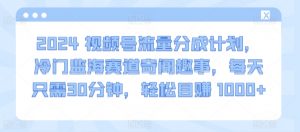 2024视频号流量分成计划，冷门监海赛道奇闻趣事，每天只需30分钟，轻松目赚 1000+【揭秘】-第一资源库