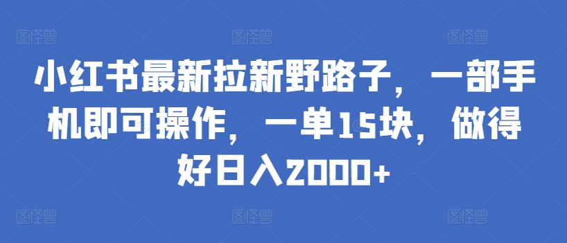 小红书最新拉新野路子,一部手机即可操作,一单15块,做得好日入2000+【揭秘】-第一资源库