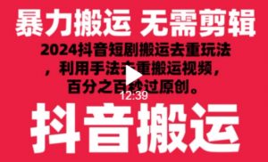 2024最新抖音搬运技术，抖音短剧视频去重，手法搬运，利用工具去重，达到秒过原创的效果【揭秘】-第一资源库