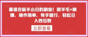 最适合新手小白的副业!薅羊毛+躺赚,操作简单,有手就行,轻松日入四位数【揭秘】-第一资源库