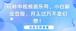 玩转中视频音乐号,小白副业变现,月入过万不是幻想【揭秘】-第一资源库