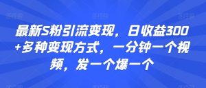 最新S粉引流变现,日收益300+多种变现方式,一分钟一个视频,发一个爆一个【揭秘】-第一资源库