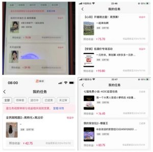 2024年3月最新,快手磁力聚星全流程实操教学,8台手机日均收益稳定100~200元【揭秘】-第一资源库