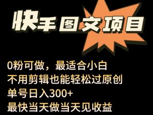 24年最新快手图文带货项目,零粉可做,不用剪辑轻松过原创单号轻松日入300+【揭秘】-第一资源库