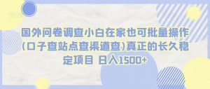 国外问卷调查小白在家也可批量操作(口子查站点查渠道查)真正的长久稳定项目 日入1500+【揭秘】-第一资源库
