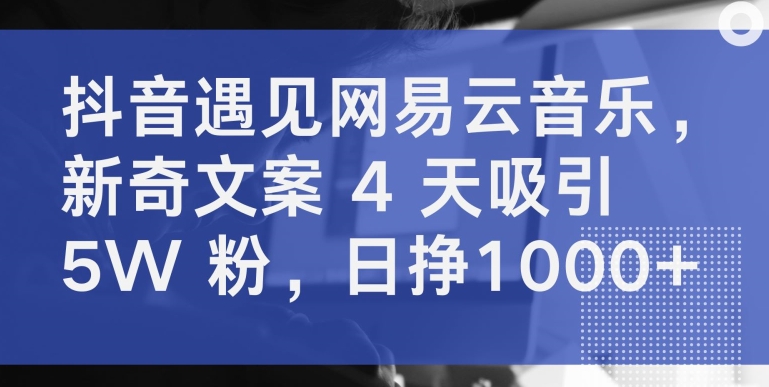 抖音遇见网易云音乐,新奇文案 4 天吸引 5W 粉,日挣1000+【揭秘】-第一资源库