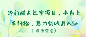 冷门成人识字项目，小白上手轻松，暴力创收月入5w+【揭秘】-第一资源库